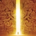 راوي عربي فصيح