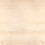 Enthusiastischer Verkäufer