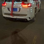 الشاعر حامد ٦