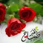 صوت عربي واضح