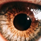 NArração Vídeos Lula