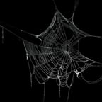 Engaging Female Voice