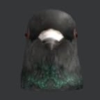 Energetic Young Creator