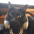 Голос Доставщика