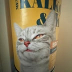 Dynamic Male Speaker