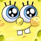 SpongeBob DVD (Audio)