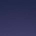 احمد الوائلي