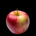 Voix Jeune et Dynamique