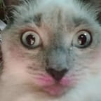 Игривый Детский Голос