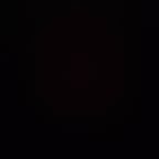 法内狂徒张国民