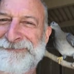 Andy Geller - David Robert O'Connor