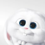 Coelho Bola de Neve
