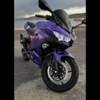 Hot pursuit narrator