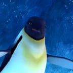 SEÑORITA VIOLA_HAPPY FEET_ESPAÑOL LATINO_VOZ