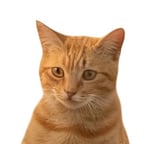 เสียงชายกวนๆ