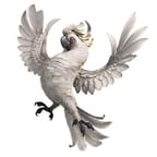 PEPILLO DE CANCION_RIO