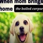 Pee pee butt