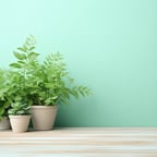 الصوت العربي الحيوي  