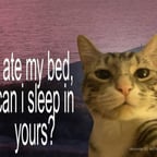 Voz Latina Apasionada