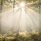 穏やかな語り口