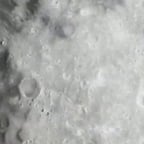 Klarer junger Sprecher