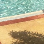 Reflective Conversationalist