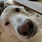 Jennifer baby ❤️