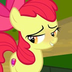 Apple bloom