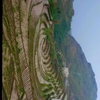 الشاعر أحمد الديلمي 