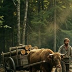 Deep Narrative Storyteller