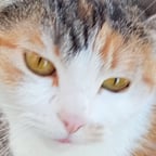 Voz Reflexiva y Emocional