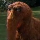 Snuffy (Aloysius Snuffleupagus)