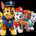 Pequeno Aventureiro Marshal