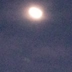 Playful Young Speaker