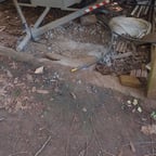 Voz Corporativa Clara