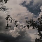 Narrador Reflexivo Serio