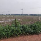 Napoleon Hill - 4 minutes sample