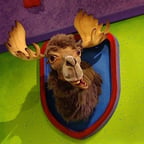 Mr Moosehead (Los Doodlebops)