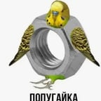 Молодой Энергичный Голос