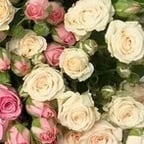 ПЫВым\чсмап