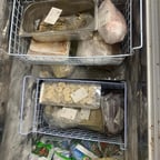 صوت نسائي عربي