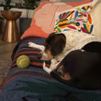 Angelina jolie private 