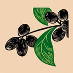 Voz Alegre Española