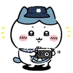 Chiikawa 哈奇猫小八