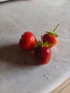 Выразительный Женский Голос