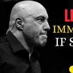 joe rogan
