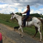 Assertive Male Voice