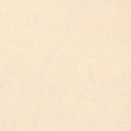 Lively Canine Friend