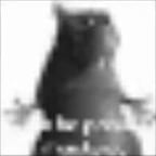 Voz Casual Española