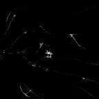 キャンペーンナレーション